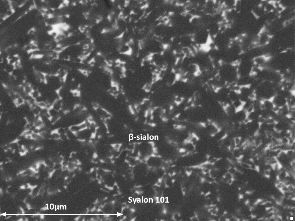 Syalon 101 - beta Micrograph